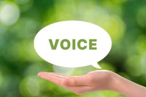 voice